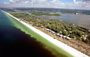 A red tide, or harmful algae bloom, is tainting Gulf of Mexico waters off Southwest Florida.
